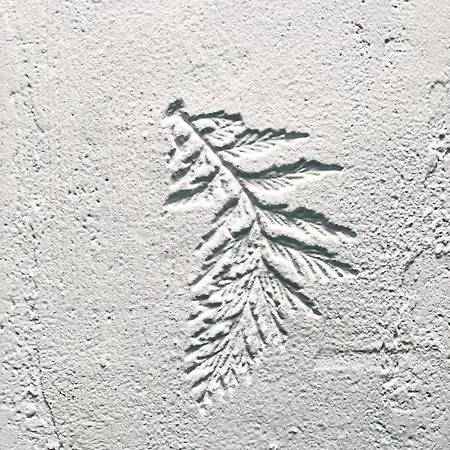 Candide * Saint-Bertrand-de-Comminges