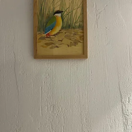 Candide Hotel Saint-Bertrand-de-Comminges