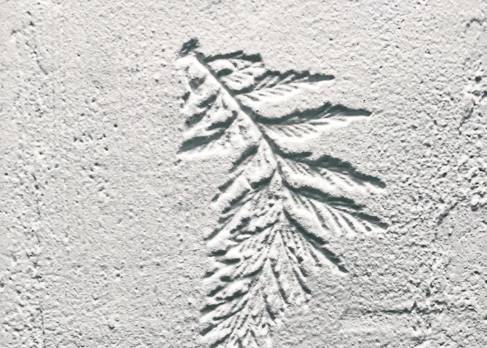 Candide * Saint-Bertrand-de-Comminges